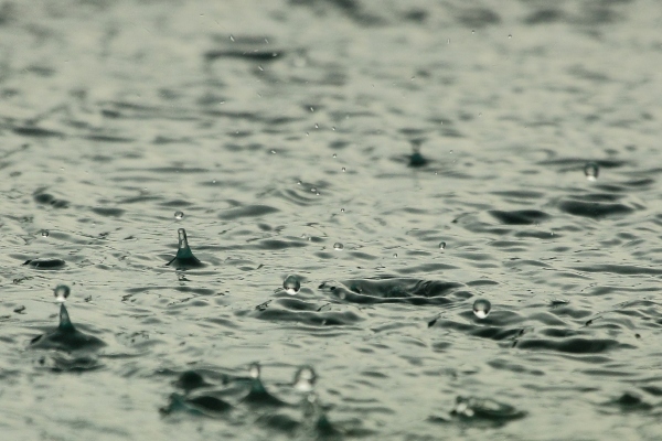 Sistemas de Captación Pluvial: La Solución Sustentable que Cosecha Agua en México