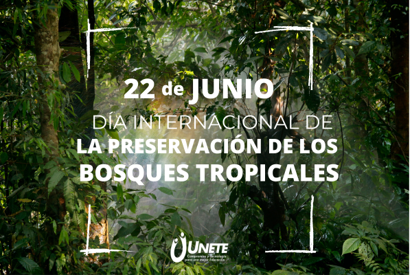Día internacional de la preservación de los bosques tropicales